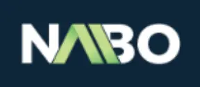 Acting CTO in Nabo As